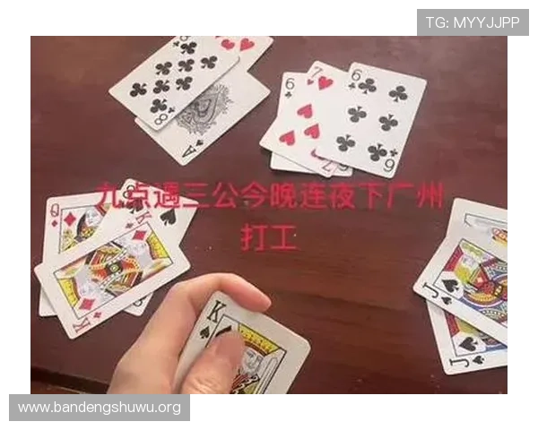 三公牌玩法大全新手入门指南详细讲解三公牌基本玩法规则与实用技巧快速提升游戏水平