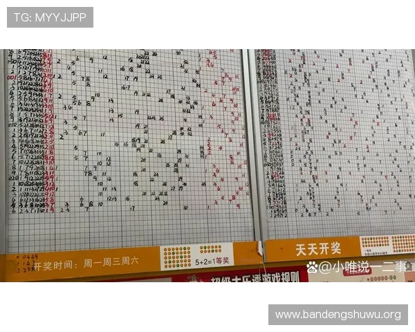 排三开奖结果历史数据回顾，助你掌握中奖号码的长期规律与技巧