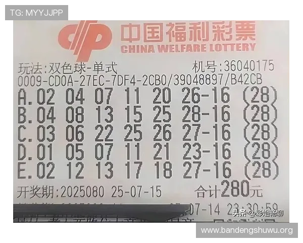 骰宝赔率与概率关系深度分析，助你理性投注避免盲目跟风