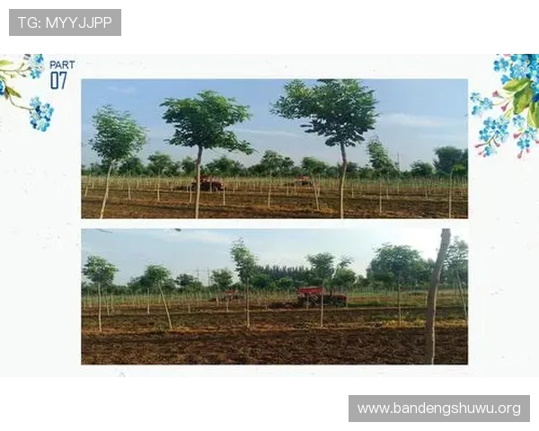 betway必威安全保障措施详解保障玩家资金与信息安全的关键策略