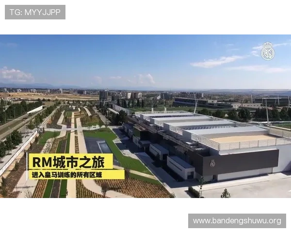 ld体育平台的多元化体育赛事覆盖范围及其独特优势分析