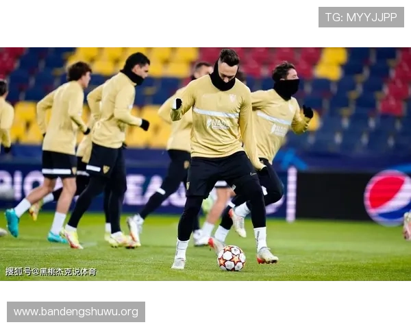 中欧体育app支持哪些体育赛事直播，详细功能介绍与使用技巧分享