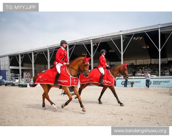 中欧体育赛事合作模式探讨及未来发展趋势全面解析