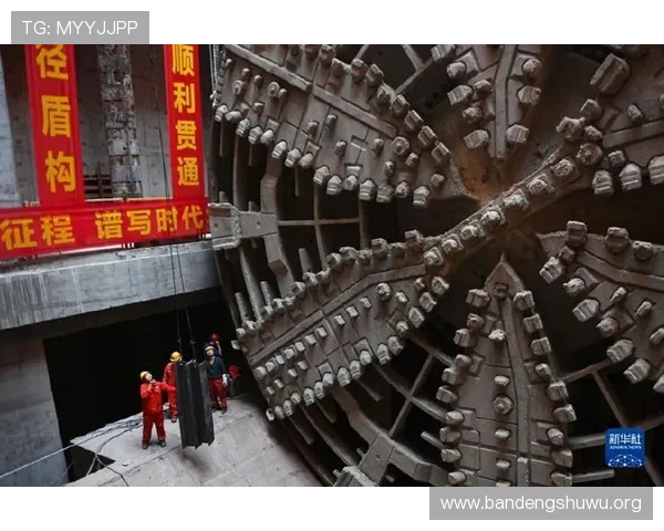 半岛体育bob未来发展趋势与创新技术应用前景深度分析