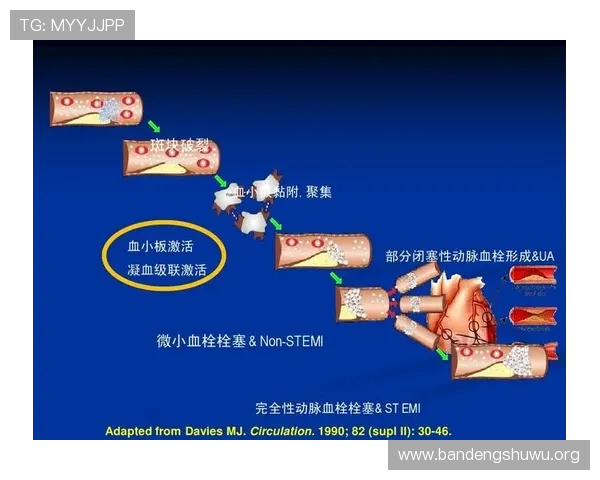 博马体育安全保障措施:保障用户资金与个人信息安全的全面策略 博马体育安全保障措施:保障用户资金与个人信息安全的全面策略